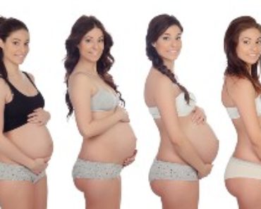 gravid - Barnet växer i magen vecka 5 till vecka 32