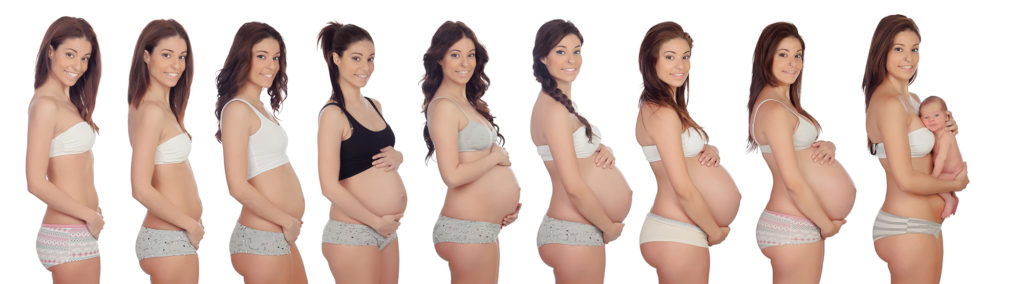 gravid - Barnet växer i magen vecka 5 till vecka 32