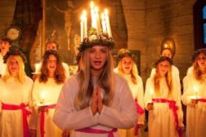 Fira året runt Marten Gås och firar Sankta Lucia