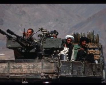 Krig i Afghanistan och Irak -Usama bin Ladin och talibanerna