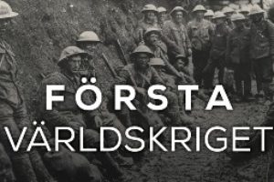 BAKGRUND OCH ORSAKER Första världskriget 1914-sak