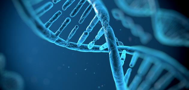 VAD ÄR DNA och VAD ÄR EN CELL snabbfakta om  LEVANDE sak