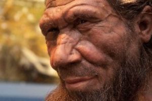 Bra Fakta om Homo neanderthalensis -Afrika mänsklighetens vagga