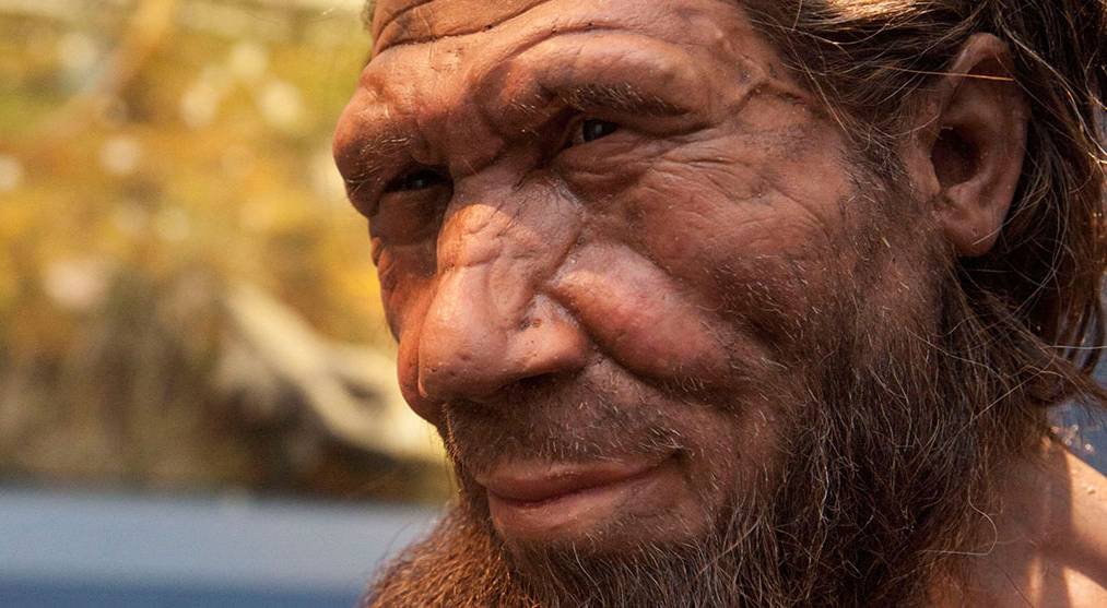 Bra Fakta om Homo neanderthalensis -Afrika mänsklighetens vagga 