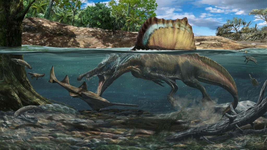 Kritaperioden: Havets blomstring och dinosauriernas öde